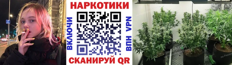 Купить закладку Каннабис  А ПВП  Меф  Cocaine  Нарьян-Мар