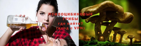 соль ск Лабытнанги
