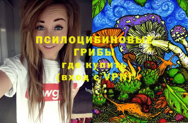соль ск Лабытнанги