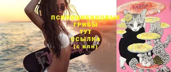 соль ск Лабытнанги